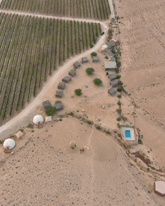 ים של חול דף הבית | שיראל דילר ים של חול דף הבית | שיראל דילר