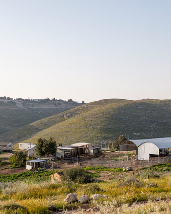 רועים רחוק דף הבית | נעמה שטרן רועים רחוק דף הבית | נעמה שטרן