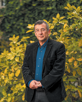 שעת חברה דף הבית | נעמה שטרן שעת חברה דף הבית | נעמה שטרן