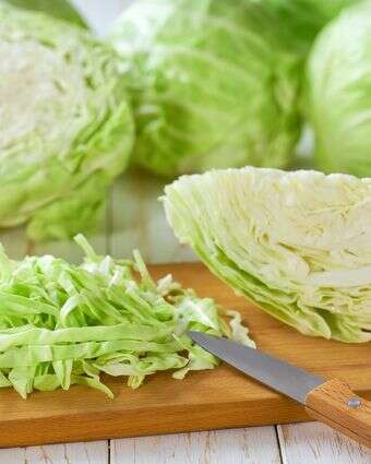 כרוב לבן | שאטרסטוק כרוב לבן | שאטרסטוק