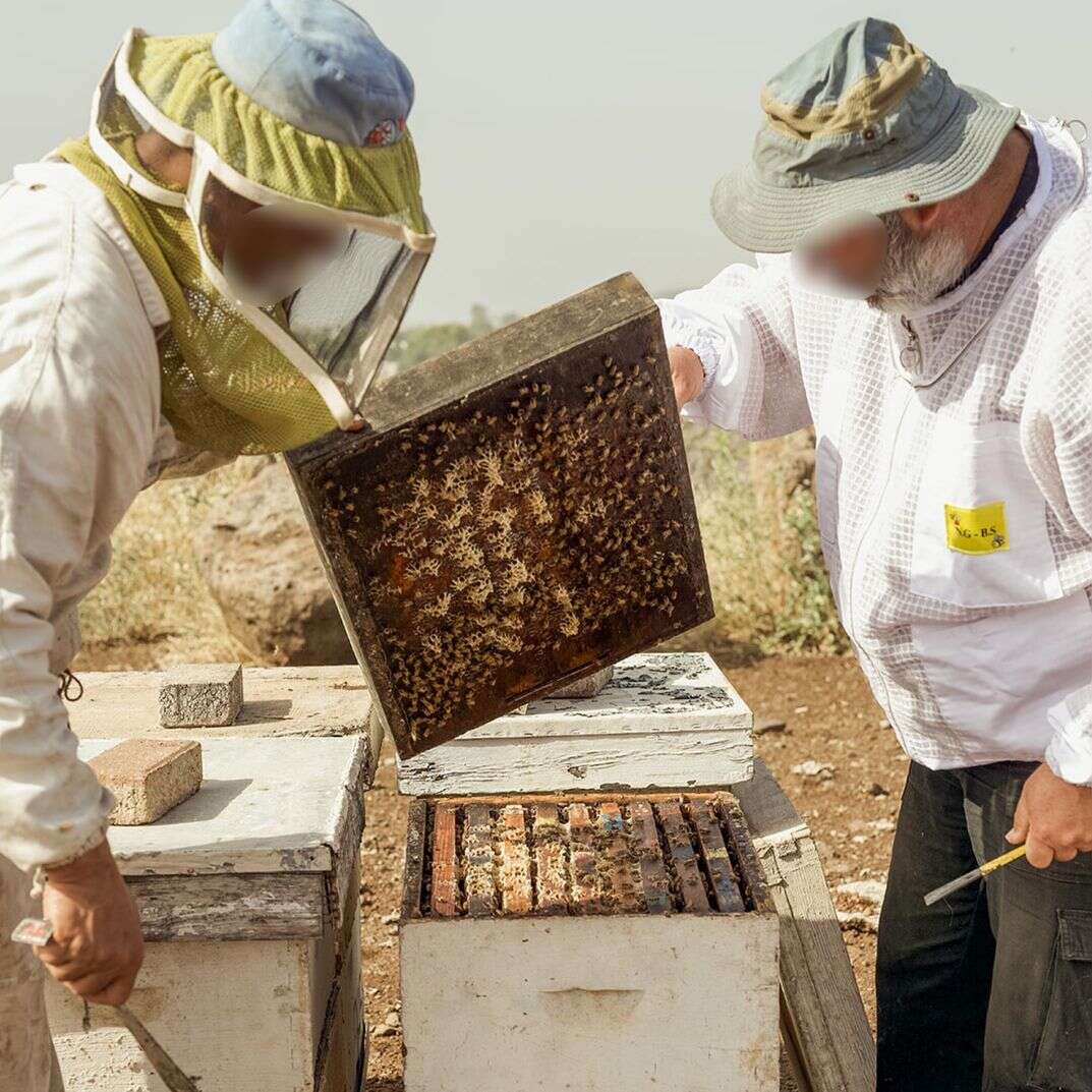 בין מגל וחרב דף הבית | דובר צה"ל בין מגל וחרב דף הבית | דובר צה"ל