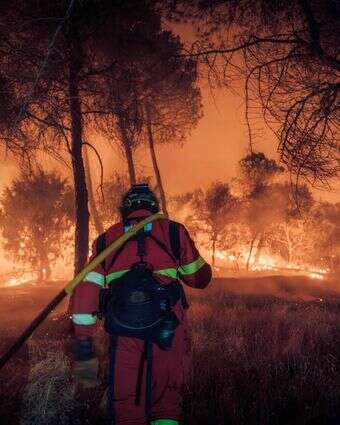שריפות בספרד, יולי 2026 | AFP PHOTO / SPAIN'S MILITARY EMERGENCIES UNIT (UME) שריפות בספרד, יולי 2026 | AFP PHOTO / SPAIN'S MILITARY EMERGENCIES UNIT (UME)