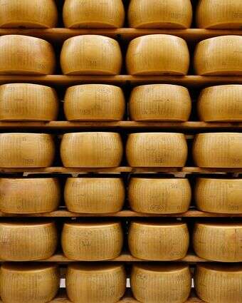 גלגלי גבינת פרמזן Parmigiano Reggiano מאוחסנים בנוצ'טו, ליד פארמה, איטליה | AP גלגלי גבינת פרמזן Parmigiano Reggiano מאוחסנים בנוצ'טו, ליד פארמה, איטליה | AP