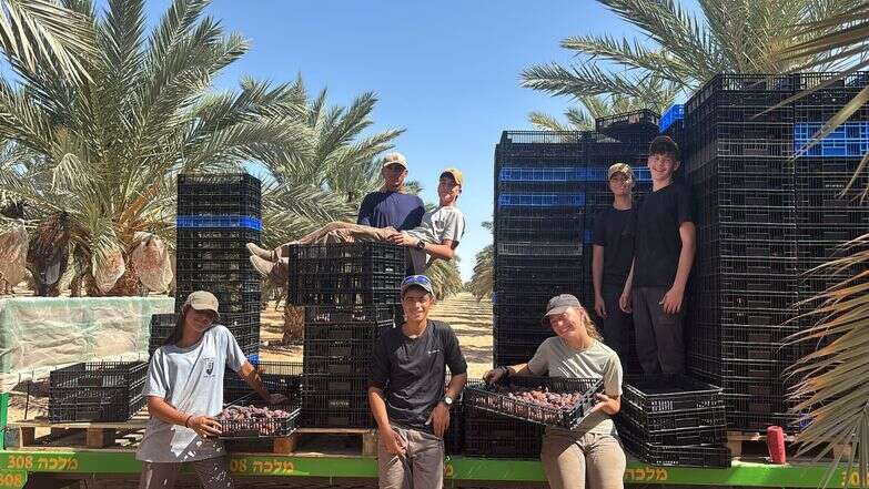 תלמידי אדם ואדמה בשדות | דוברות השומר החדש תלמידי אדם ואדמה בשדות | דוברות השומר החדש