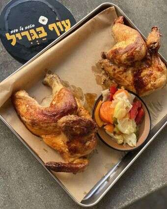 חתוליות תרנגול כפרות דף הבית | ג'ו ונאוה חתוליות תרנגול כפרות דף הבית | ג'ו ונאוה