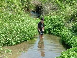 החיוך זרח מעיניו. טובלים רגליים בנחל שלף החיוך זרח מעיניו. טובלים רגליים בנחל שלף