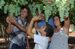 המושבניקים החדשים. משפחת נפתלי, שדה אליעזר המושבניקים החדשים. משפחת נפתלי, שדה אליעזר