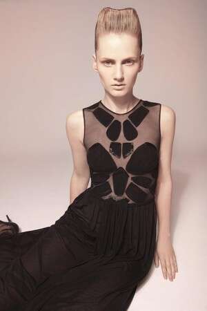 קולקציית אלון ליבנה קולקציית אלון ליבנה