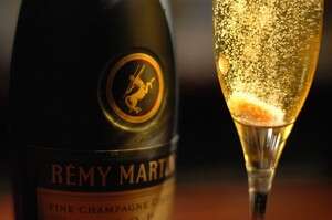 קוקטייל שמפניה במישמיש קוקטייל שמפניה במישמיש