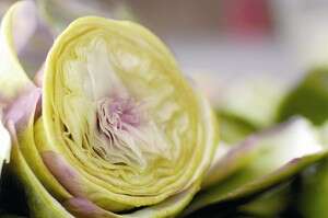 ארטישוק. ארטישוק.