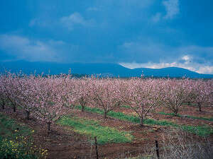 מסלול שביל ישראל מדן עד תל חי מסלול שביל ישראל מדן עד תל חי