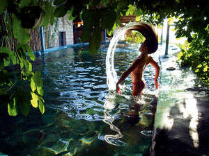 הבריכה הטבעית בציפורי הבריכה הטבעית בציפורי