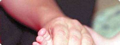 צילום: קיי.אר.טי