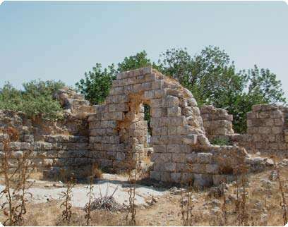 צילום: דובי זכאי צילום: דובי זכאי