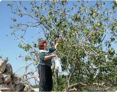 צילום: דובי זכאי צילום: דובי זכאי