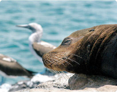 קי-אר-טי קי-אר-טי