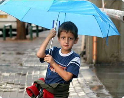 צילום: עודד קרני צילום: עודד קרני