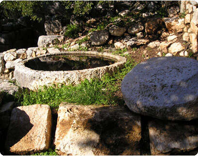 צילום: ארכיון קק''ל צילום: ארכיון קק''ל