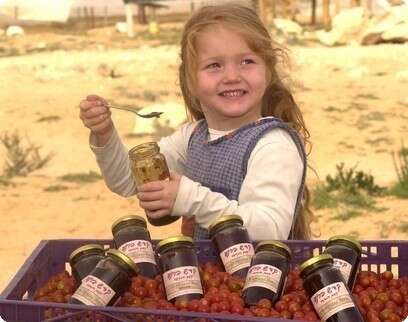 צילום: יח''צ צילום: יח''צ