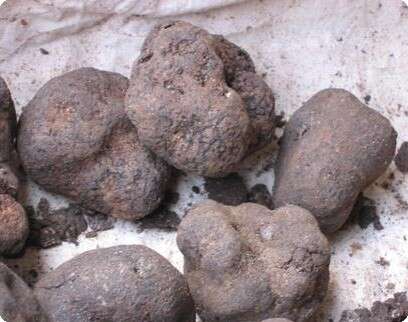 צילום: יח''צ צילום: יח''צ