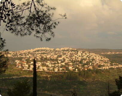 דובי זכאי דובי זכאי