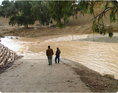 דובי זכאי דובי זכאי