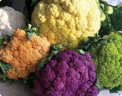 צילום: שרי אנסקי צילום: שרי אנסקי