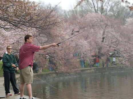 צילום: אי-אף-פי צילום: אי-אף-פי