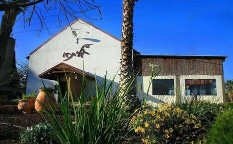 צילום: : משה אלפרט וארז ביטון צילום: : משה אלפרט וארז ביטון