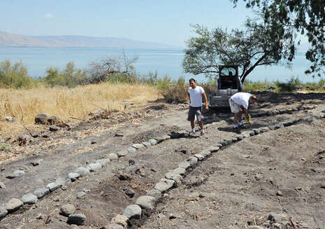 צילום: יגאל לוי צילום: יגאל לוי