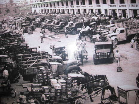 צילום באדיבות פנינה מנור צילום באדיבות פנינה מנור