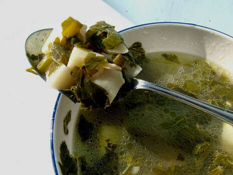 צילום: שחר שילוח צילום: שחר שילוח