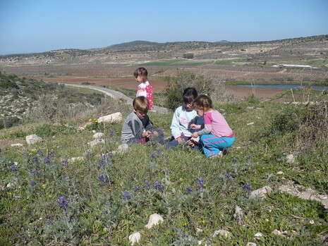 צילום: נועה פורת צילום: נועה פורת