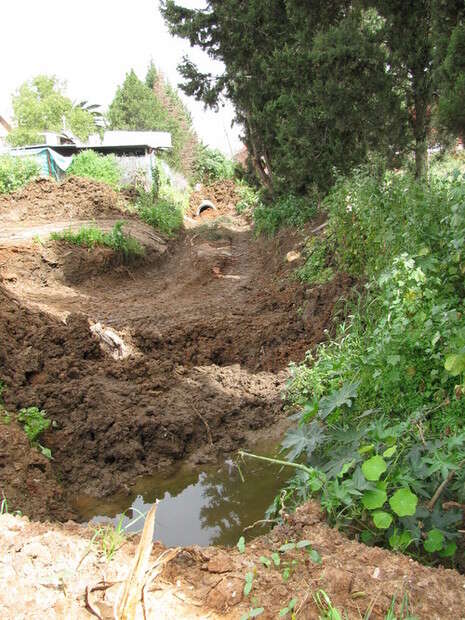 צילום: אודי תגרי צילום: אודי תגרי