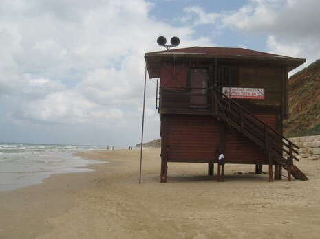 צילום ארכיון צילום ארכיון