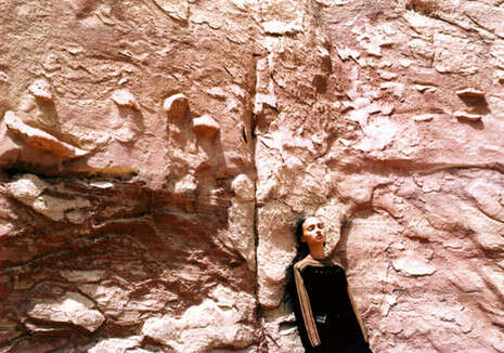 צילום: עמית ישראלי צילום: עמית ישראלי