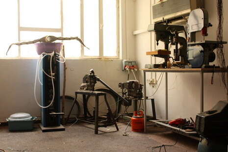 צילום: מור שמושקוביץ צילום: מור שמושקוביץ