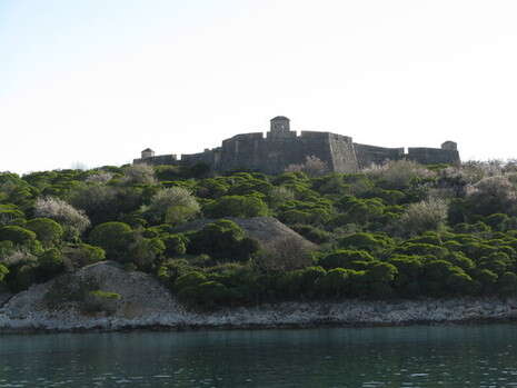 צילום: זאב בן אריה צילום: זאב בן אריה