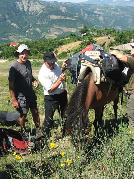 צילום: זאב בן אריה צילום: זאב בן אריה