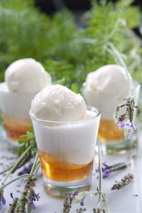 צילום: דניאל לילה צילום: דניאל לילה