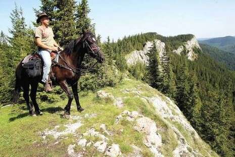 צילום: דני מרון צילום: דני מרון