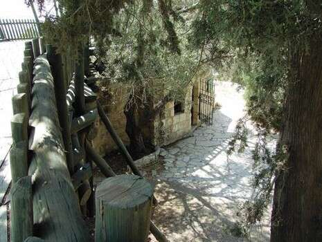 צילום: דובי זכאי צילום: דובי זכאי