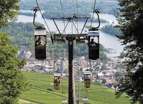 צילום: AP צילום: AP