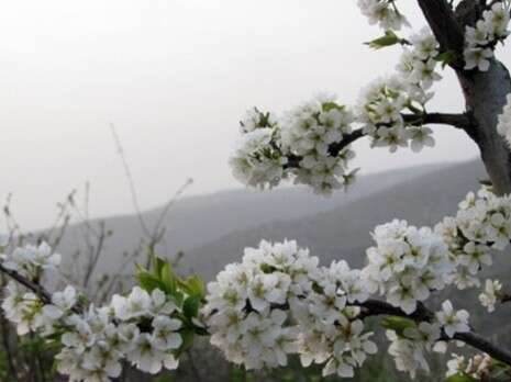 נדין ספאדי נדין ספאדי