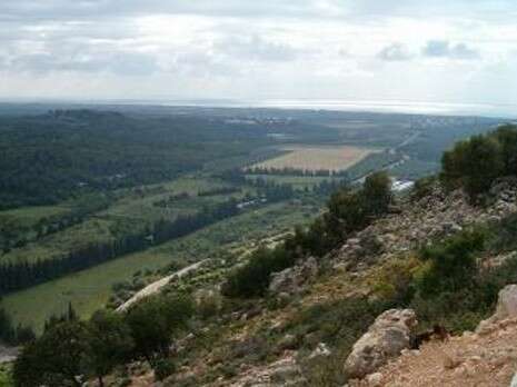 יוחאי כורם יוחאי כורם