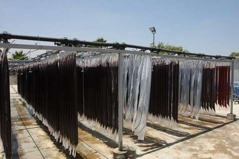 צילום: יהודה לחיאני צילום: יהודה לחיאני