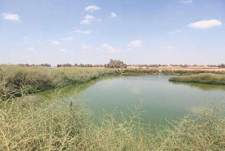 צילום: עוזי דגני צילום: עוזי דגני