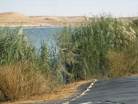 צילום: עוזי דגני צילום: עוזי דגני