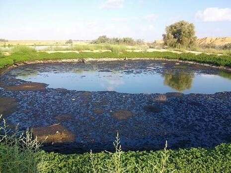 צילום: עוזי דגני צילום: עוזי דגני