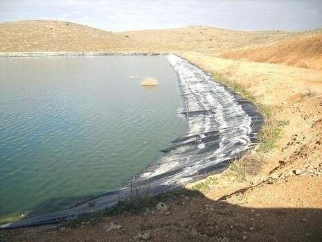 צילום: עוזי דגני צילום: עוזי דגני